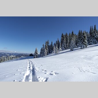 Hütte auf der Frauenalpe | © STG | Tom Lamm