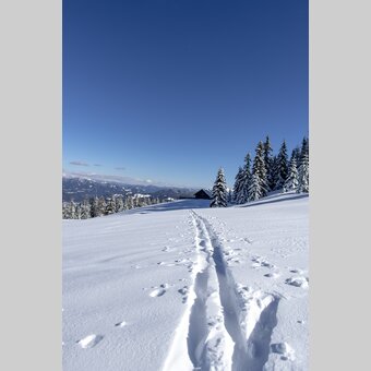 Hütte auf der Frauenalpe | © STG | Tom Lamm