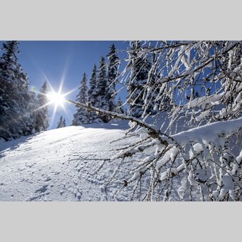 Winter auf der Frauenalpe | © STG | Tom Lamm