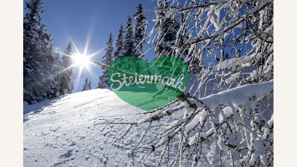 Winter auf der Frauenalpe | © STG | Tom Lamm