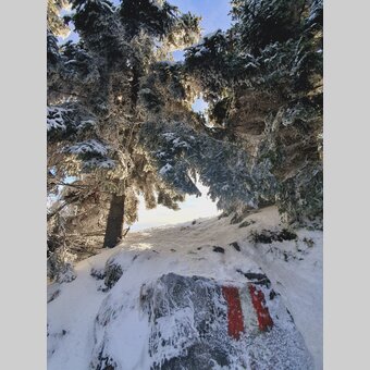 Auf dem Weg zum Schöckl | © STG | Günther Steininger