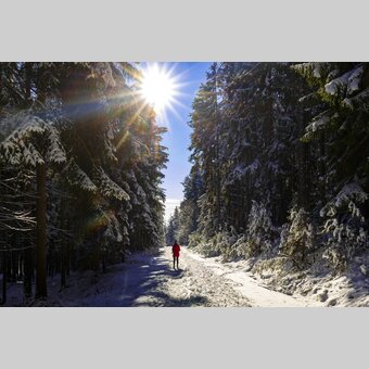 Winterwanderung am Schöckl | © STG | Harry Schiffer