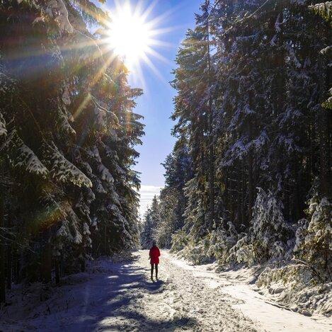 Winterwanderung am Schöckl | © STG | Harry Schiffer