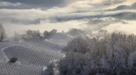 Winter im Weinland | © STG | Wolfgang Jauk