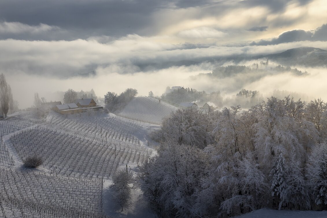 Winter im Weinland | © STG | Wolfgang Jauk