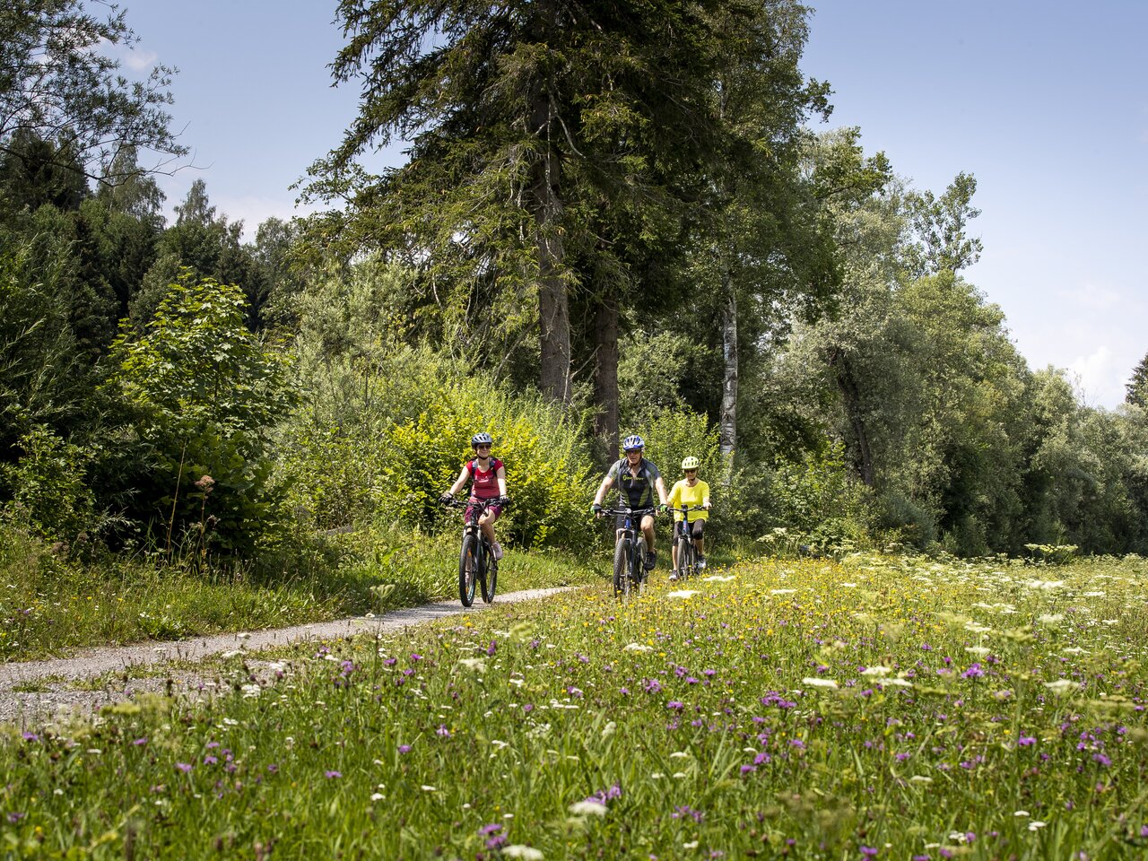 Radfahren entlang der Enns bei Pruggern | © STG | Tom Lamm