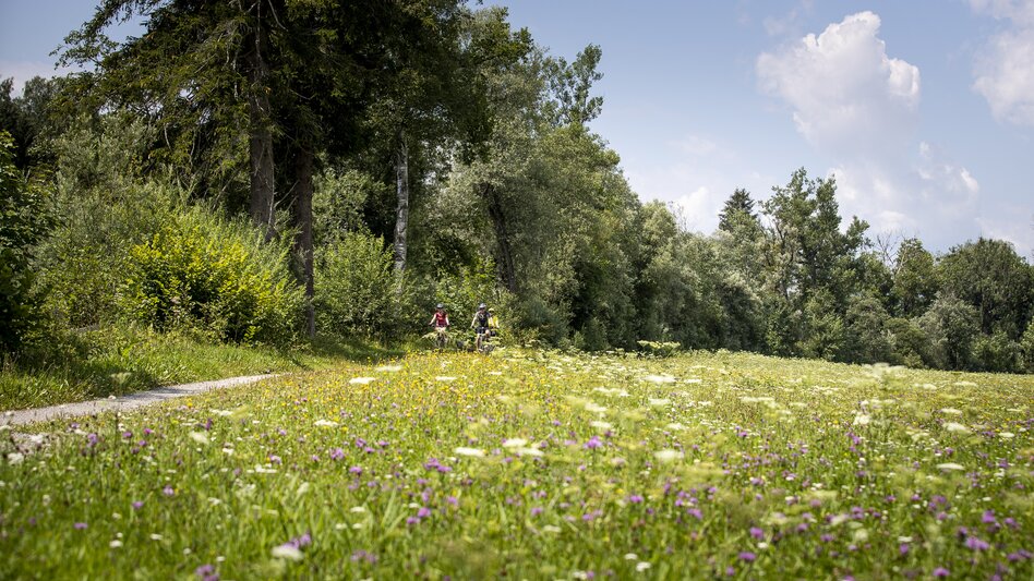 Ennsradweg | © Steiermark Tourismus | Tom Lamm