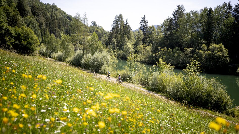 Murradweg | © Steiermark Tourismus | Tom Lamm