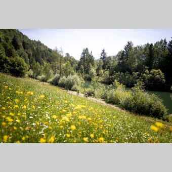 Am Murradweg bei St. Georgen ob Murau | © STG | Tom Lamm