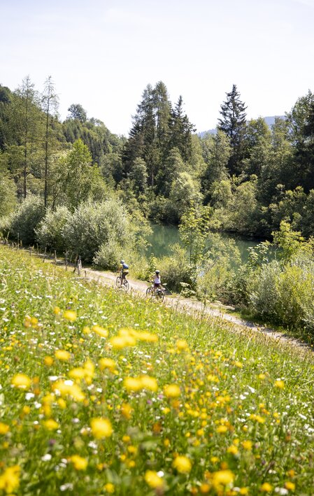 Murradweg | © Steiermark Tourismus | Tom Lamm