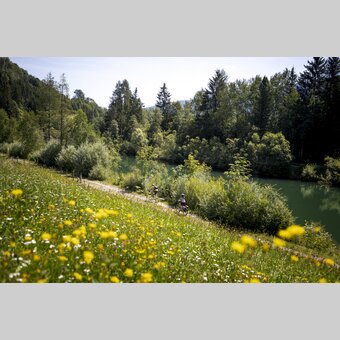 Am Murradweg bei Murau | © STG | Tom Lamm