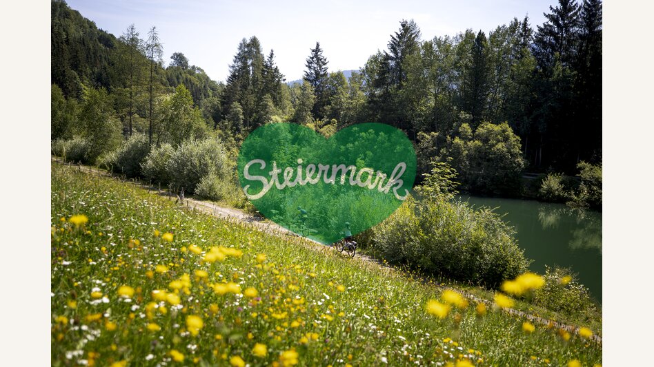 Am Murradweg bei Murau | © STG | Tom Lamm