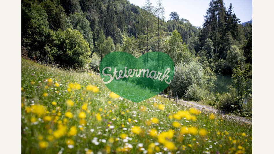 Am Murradweg bei Murau | © STG | Tom Lamm