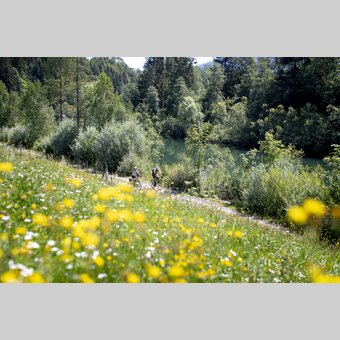 Am Murradweg bei Murau | © STG | Tom Lamm