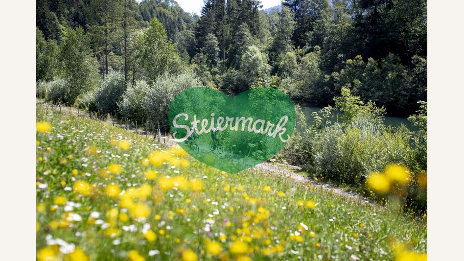 Am Murradweg bei Murau | © STG | Tom Lamm