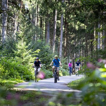 Am Murradweg im Murtal | © STG | Tom Lamm