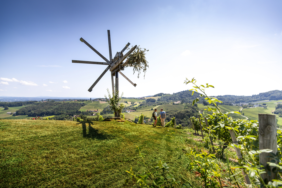 Wine Hiking in Southern Styria | © Steiermark Tourismus | Tom Lamm