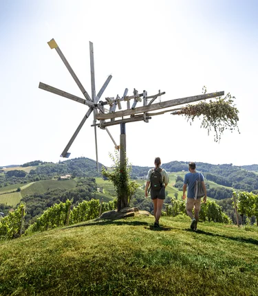 Wine Hiking in Southern Styria | © Steiermark Tourismus | Tom Lamm