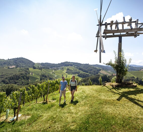 Weinwandern in der Südsteiermark | © STG | Tom Lamm