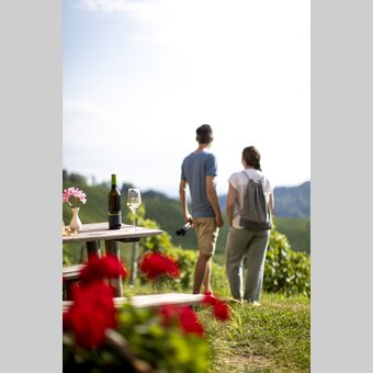 Wanderpause beim Buschenschank mit Blick auf die südsteirischen Weinberge | © STG | Tom Lamm