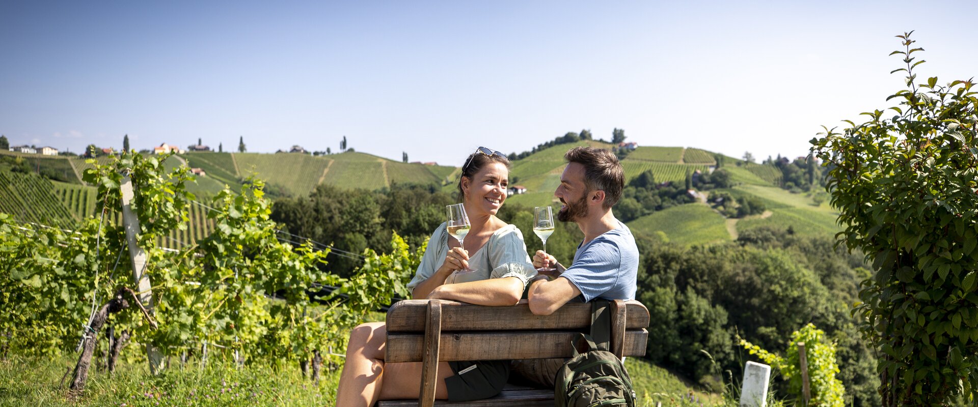 Enjoyable hiking break in the middle of the South Styrian vineyards | © Steiermark Tourismus | Tom Lamm
