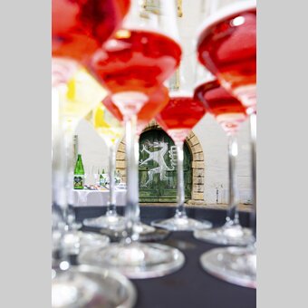 Steirischer Schilcher zu Gast bei steirischem Panther | © STG | Harry Schiffer