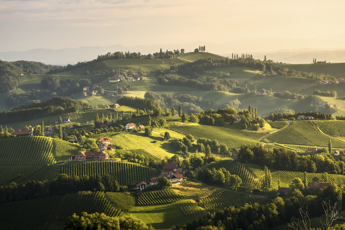 Die malerische Landschaft der Südsteiermark | © STG | Wolfgang Jauk