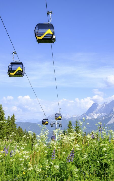 Gondola ride up the Planai | © Steiermark Tourismus | photo-austria.at