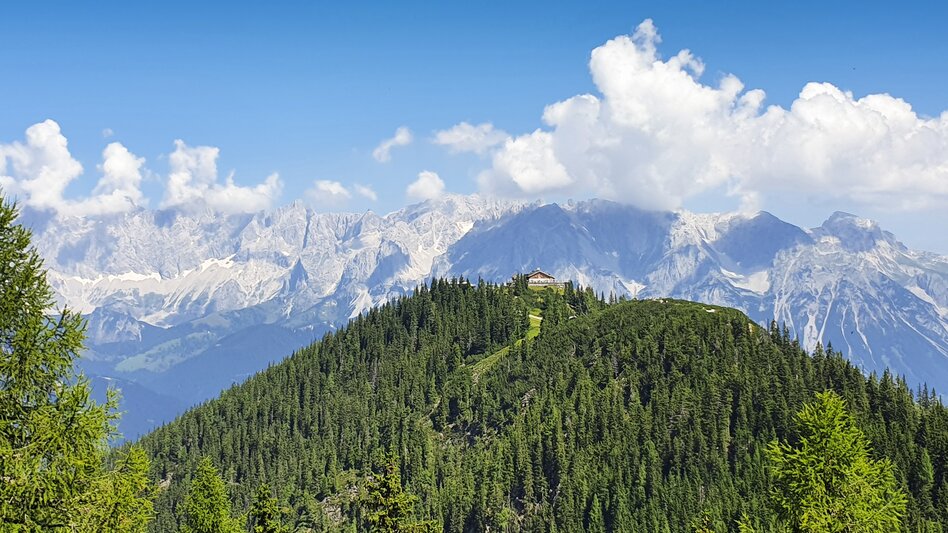 Blick auf Hochwurzenhütte und Dachstein | © STG | Günther Steininger