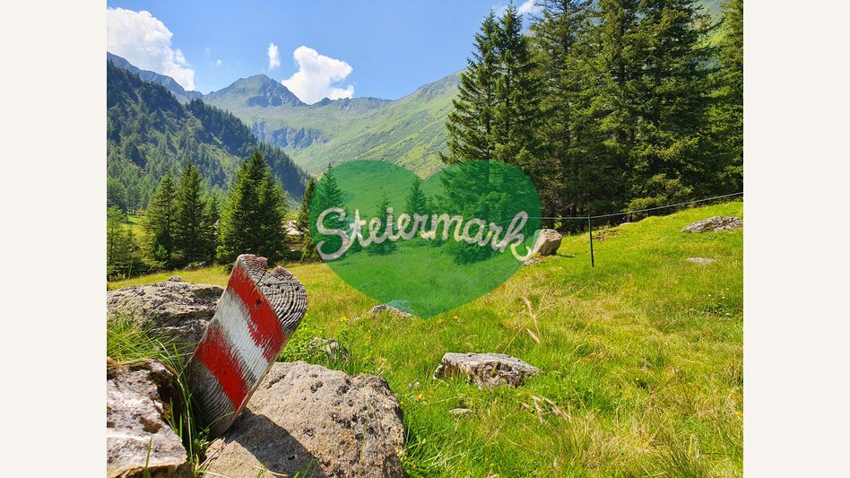 Eselsberger Almerlebnisweg | © STG | Günther Steininger