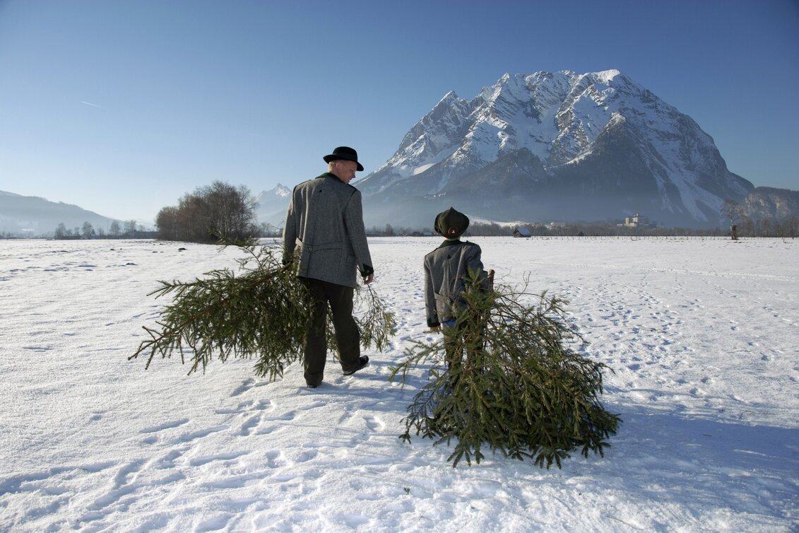 Der Berg Grimming im Hintergrund | © STG | Atelier Jungwirth / Erich Hagspiel