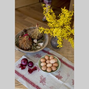 Ostereier färben mit Zwiebelschalen, rotem Rübensaft,... am Zehenthof in Semriach | © STG | Tom Lamm