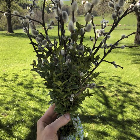 Palmbuschen, Ostern | © STG | Amra Candic