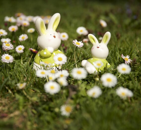 Osterhase im Blüte-Frühling | © STG | Bernhard Loder