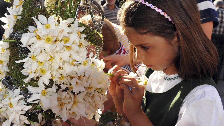 daffodil festival, Ausseerland in spring | © Steiermark Tourismus | Gery Wolf