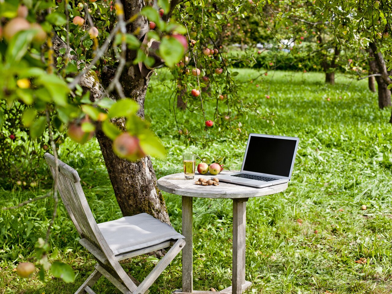 Genussvolles Tagen in der Steiermark | © STG | Tom Lamm