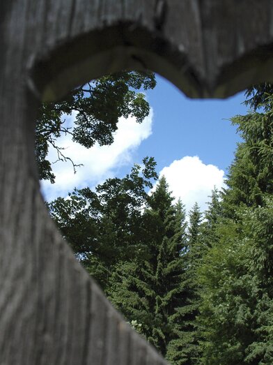 Das Grüne Herz Österreichs | © STG | Hummer