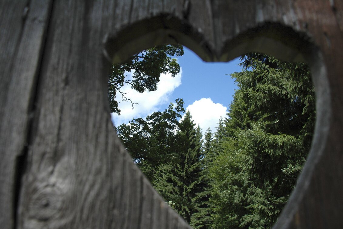 PackageHerzklopfen spüren - Urlaubserlebnisse in der  Region Murtal