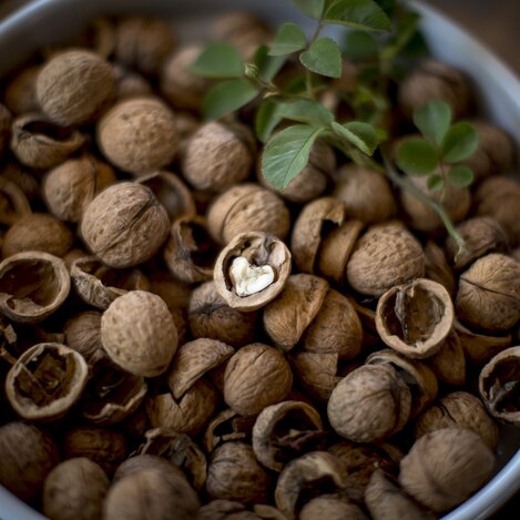 Nuß mit Herz | © STG | Tom Lamm