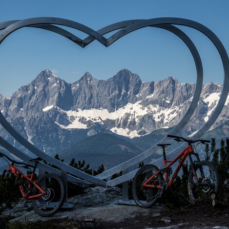 Auf der Reiteralm | © STG | Gleichweit-Nistelberger