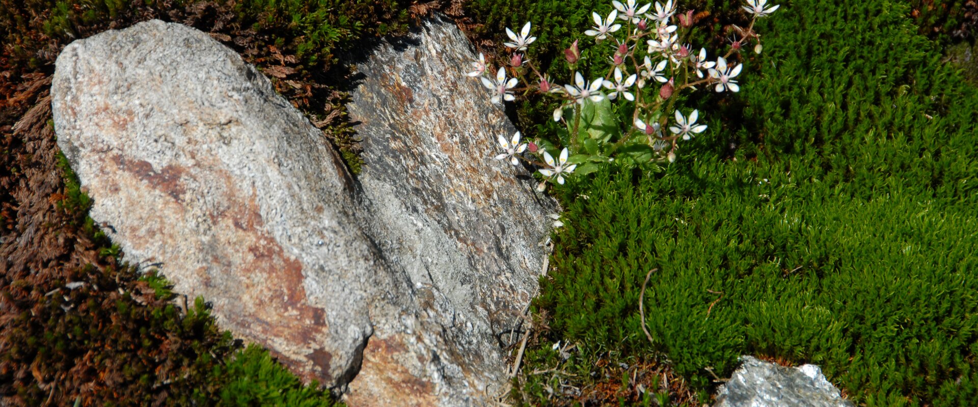 © Steiermark Tourismus | Petz