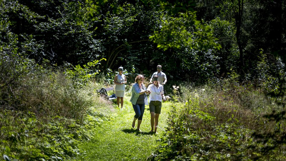 Feel and sense nature in the Zirbitzkogel-Grebenzen Nature Park | © Steiermark Tourismus | Tom Lamm
