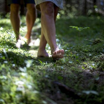 Waldbaden im Naturpark Zirbitzkogel-Grebenzen | © STG | Tom Lamm