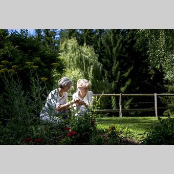 Naturbetrachtung aus der Nähe | © STG | Tom Lamm