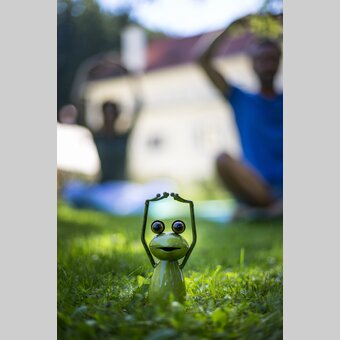 Yoga mit Steiermark-Frosch | © STG | Tom Lamm
