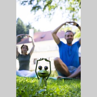 Yoga mit Steiermark-Frosch | © STG | Tom Lamm