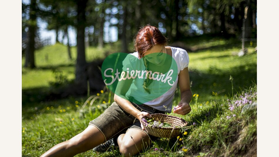Kräuterschätze | © TV Hochsteiermark | Tom Lamm