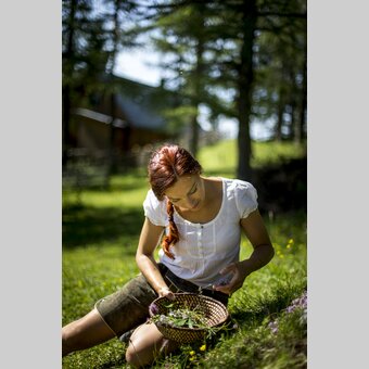 Kräuterschätze | © TV Hochsteiermark | Tom Lamm