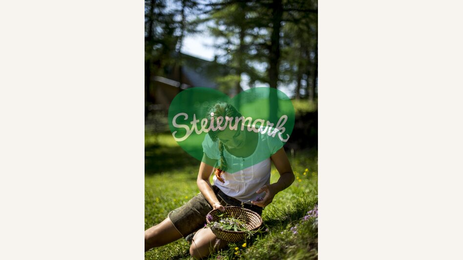 Kräuterschätze | © TV Hochsteiermark | Tom Lamm
