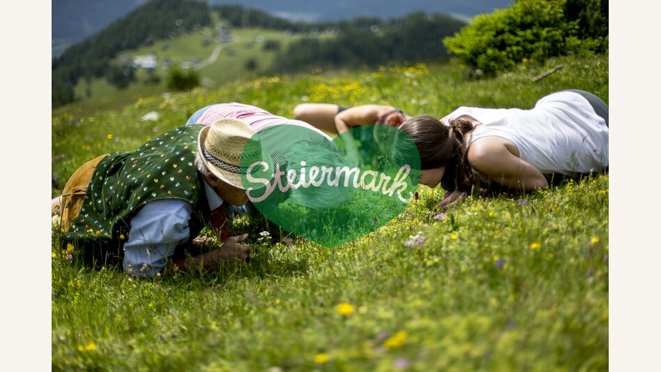 Alpenblumen hautnah auf der Aflenzer Bürgeralm | © TV Hochsteiermark | Tom Lamm